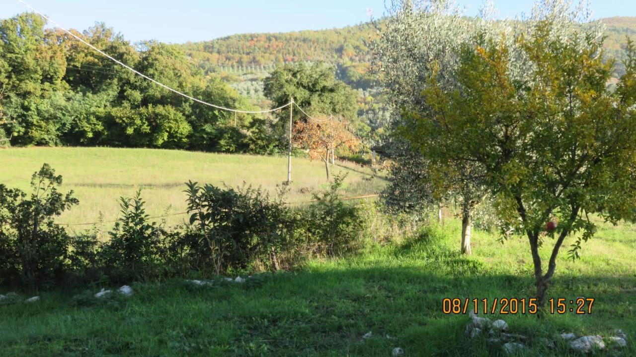 Agriturismo I Melograni Ferentillo Exterior photo
